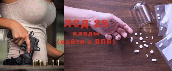 прущие крисы Бородино