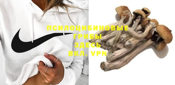 шишки Богданович