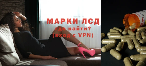 apvp Богородицк