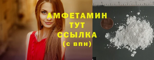apvp Богородицк