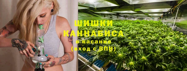 прущие крисы Бородино
