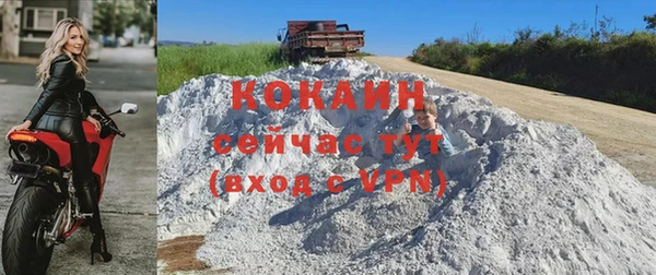 прущие крисы Бородино