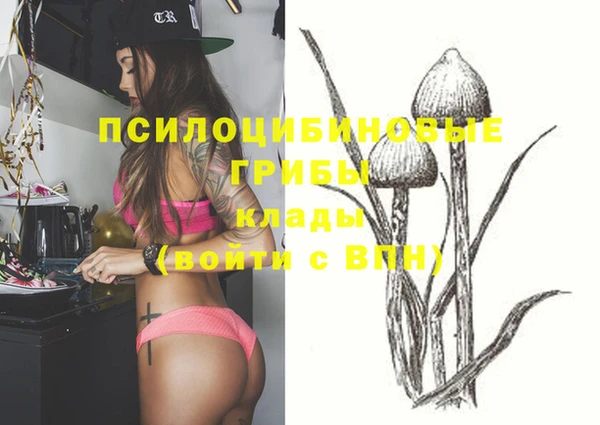 трава Бугульма