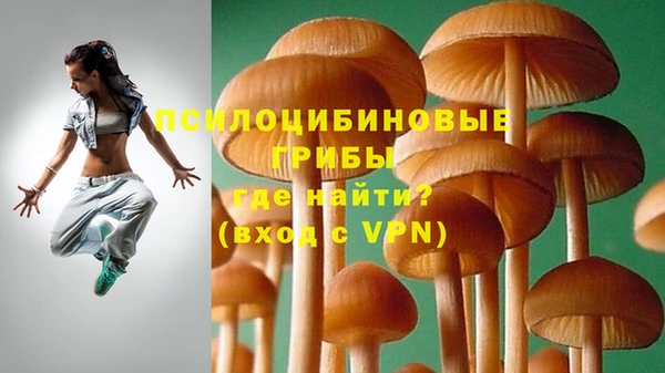 а пвп мука Бронницы