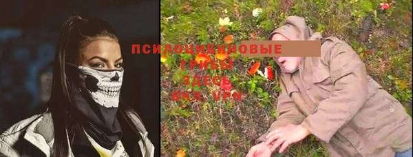 шишки Богданович