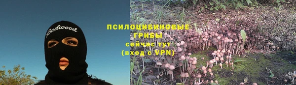 шишки Богданович